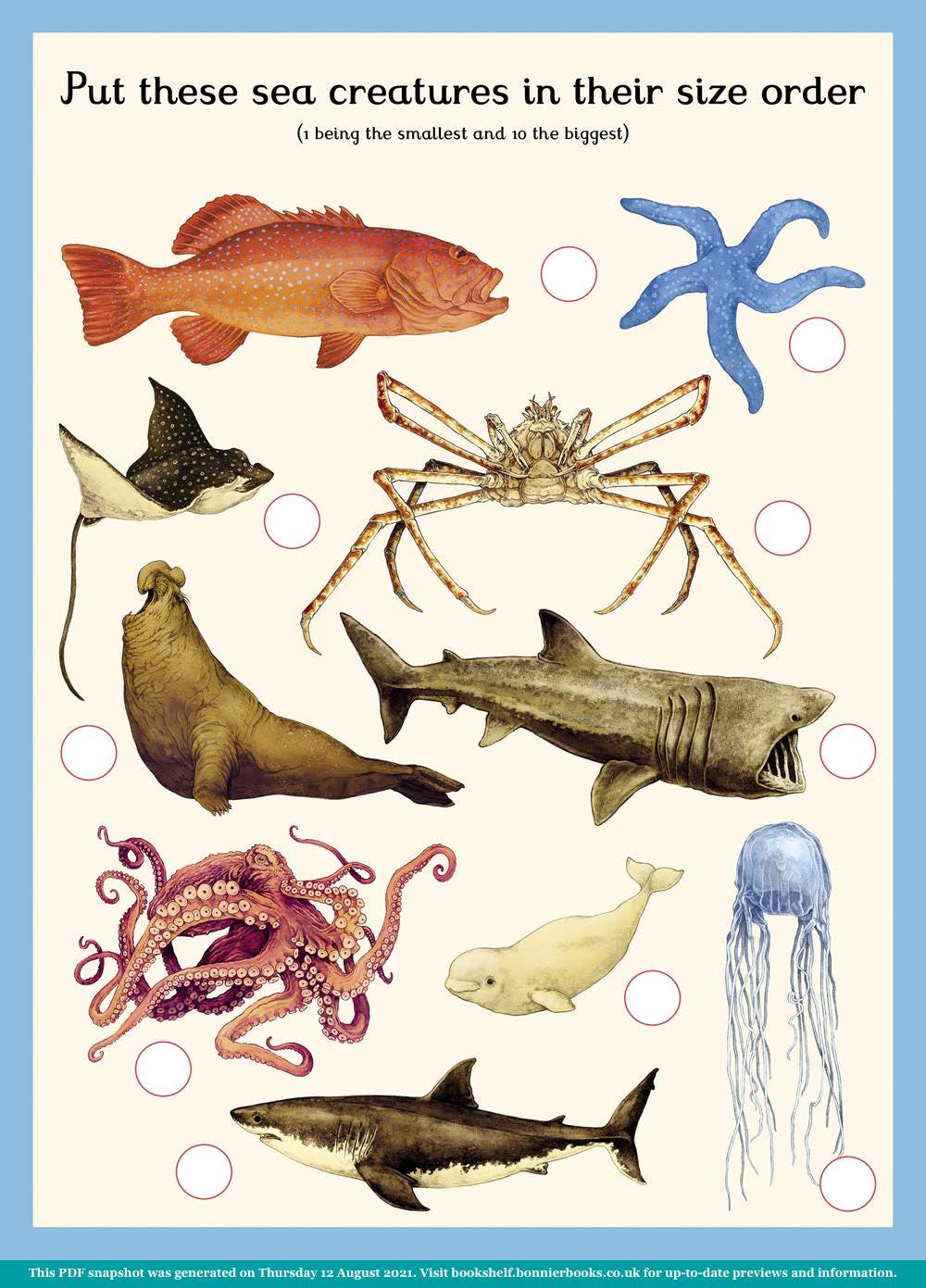 Oceanarium Activity Book - Alwero