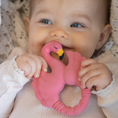 Natruba Teether - Flamingo-Pacifiers & Teethers-Natruba-710535559859-Stardust-Store